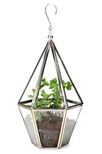 Terrario de Metal y Vidrio Personalizado Plateado, Macetero Moderno de Vidrio para Plantas de Interior, Suculentas, Plantas Aéreas y Terrarios DIY - Product Image 1