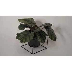 Stylish <b>Lightweight</b> <b>Iron</b> Flower Pots and Planters for Balcony Patio and Garden Use Strong Materials and Elegant Modern Planter - Product Image 2
