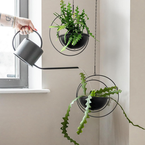 Jardinière suspendue circulaire en métal noir avec cadre à double anneau |   Porte-pot de fleurs suspendu moderne pour la décoration intérieure - Product Image 4