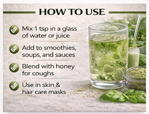 Poudre de Tulsi de Haute Qualité, Extrait Herbal de Feuilles de Basilic Sacré, Qualité Alimentaire 99%, Emballage Sous Vide en Bouteille, Approvisionnement en Vrac, Prêt à l'Exportation, Inde - Product Image 2