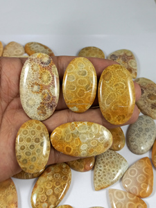 Natural Fossil Coral Loose Gemstone 20-35mm Yellow Mix Shapes for Jewelry Designing Wholesale Price - Product Image 4