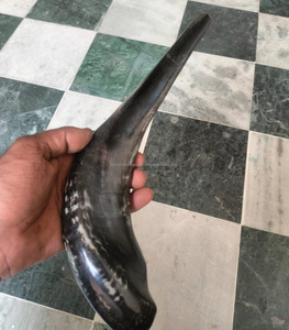 Shofar de Cuerno de Carnero Natural Hecho a Mano con Certificación Kosher, Forma Natural, Pulido Tradicional, Ritual Judío, Ecológico, Judaica - Product Image 4