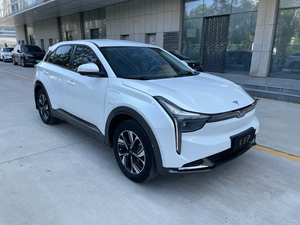 Autos Usados Neta U 2023 U 400 U en Buen Estado, Edición Show con Batería de Litio Ternaria, Vehículo Totalmente Eléctrico - Product Image 1
