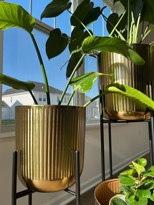 Juego de 3 Macetas de Metal Dorado con Soportes Negros, Modernas y Lujosas, para Exhibición de Plantas en Interiores, Decorativas para Sala de Estar - Product Image 5