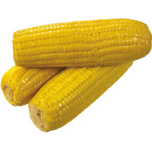 ข้าวโพดเหลือง - ข้าวโพดหวานเหลืองไทยขายส่งสำหรับอาหารสัตว์ - Product Image 1