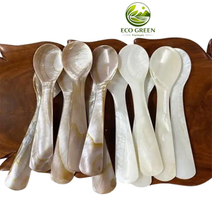 Cuchara Artesanal de Nácar con Mango de Madera, Cuchara de Concha Natural, Proveedor de Vajilla Ecológica para el Mercado de la UE y EE. UU. - Product Image 1