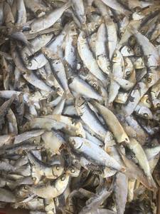 ผิวปลาแมว/อาหารสุนัข - Product Image 6