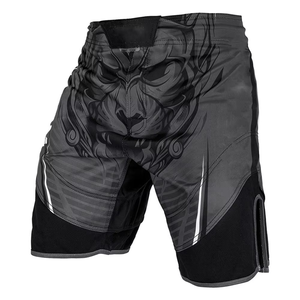 Shorts de Muay Thai Fairtex sur mesure de haute qualité, nouveau design imprimé, shorts MMA pour la boxe professionnelle, pour utilisation en salle de sport - Product Image 1