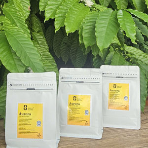 Granos de Café Vietnam Arabica Robusta Aurora Honey Process Tueste Medio Alta Altitud Calidad Premium Venta al por Mayor Exportación - Product Image 1