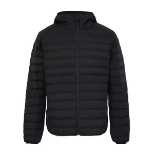 Chaqueta de Plumón para Hombre, Otoño, Cierre con Cremallera, Relleno de Algodón, Diseño Personalizado, Servicio OEM, Resistente al Viento, Transpirable, Casual - Product Image 4