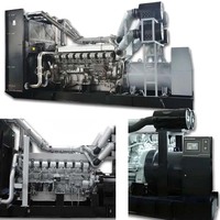 800kW 1000kVA Geräuscharmes Offenes Dieselaggregat mit Autostart-Motor, 1800 U/min, 50Hz/60Hz, ATS, für Rechenzentren und Notstromversorgung