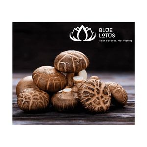 Champignons Shiitake Séchés Premium - Saveur Authentique pour Cuisines Internationales - Vente Flash - Product Image 1