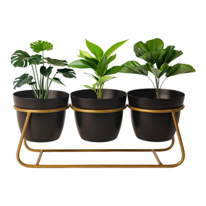Macetero de Metal Contemporáneo con Soporte de Hierro, Maceta Elevada Decorativa para Plantas de Interior, Hogar Moderno - Product Image 1