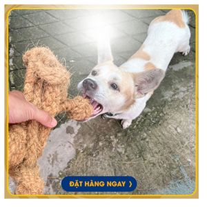 ของเล่นสัตว์เลี้ยงรูปทรงลูกบอลทำจากเปลือกมะพร้าวธรรมชาติ ทนทานต่อการกัดแทะ ของเล่นสำหรับสุนัข ขายส่งจำนวนมาก - Product Image 2