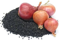 Graines d'oignon Fursungi de Pune (Allium Cepa) – Forme brune, herbe séchée brute, extrait végétal, pureté 99%, qualité A+, extrait par tambour CareQue