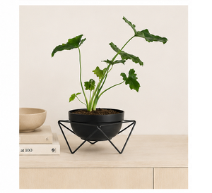 Macetero Metálico Moderno y Minimalista con Soporte Geométrico de Hierro, Estilo Interior, Maceta Redonda para Decoración de Sala de Estar o Escritorio - Product Image 6