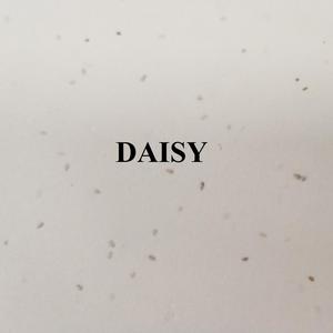 Boxit.pk Papier à graines fait main A4 120 GSM, papier à graines biodégradable pour l'impression de cartes, solutions d'emballage écologiques plantables - Product Image 3