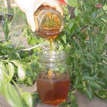 Pure Wild <b>Honey</b> Raw Natural <b>Honey</b> Collected from Natural Bee Farms - Product Image 2