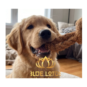 Jouet pour chien en boule de coco écologique, durable, best-seller, élimination naturelle de la plaque dentaire, soulagement du stress, non toxique, à mâcher pour chats et chiens - Product Image 1