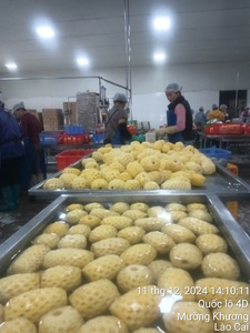 DELICIOSAS REBAJAS DE PIÑA ENLATADAS - Marca Viet Delta 2kg, 2 Años de Duración - John +84 948844359 - Product Image 6