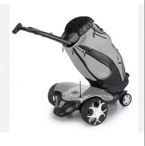 Batterie supplémentaire pour chariot électrique télécommandé Golf F1-S avec kit - Product Image 1