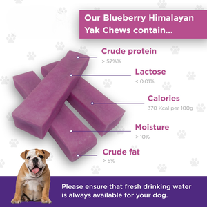 OEM - Golosinas Naturales y Orgánicas para Perros, Hechas con Yak del Himalaya, Secas, Saludables, Seguras, Altas en Proteínas, Sin Gluten, con Sabor a Arándano y Natural, en Formato Grande - Product Image 5