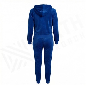 Women Blue <b>Velour</b> Hooded <b>Tracksuit</b> Set Full Sleeve Zipper Front Casual Joggers Solid Color Autumn Wear - Product Image 2