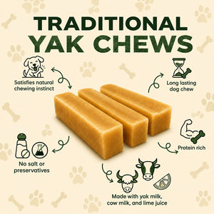 Masticables de Yak del Himalaya para Perros de Todas las Razas, Sabores Naturales, Golosinas Premium para Perros, Fabricante Mayorista OEM ODM de Marca Privada ADINS - Product Image 3