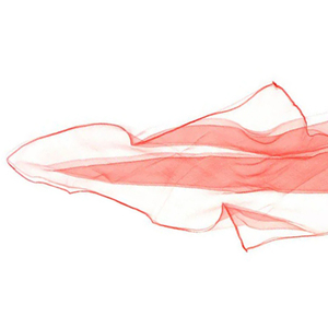 Écharpes de danse unisexes les plus vendues, accessoires de jonglage spécialement conçus, foulards soyeux colorés, jouets éducatifs en promotion - Product Image 4