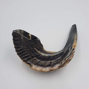 Oferta Emocionante: Shofar de Cuerno de Búfalo Moderno, Duradero y Exclusivo, Hecho a Mano en India, Kosher, Natural y Ecológico - Product Image 1