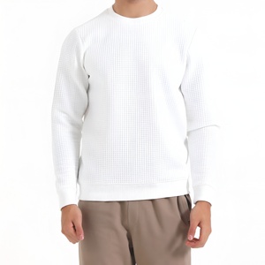Sweat-shirt en molleton pour homme, sweat à capuche OEM, 100% coton, logo brodé personnalisé, vêtements urbains chauds, fabricant en gros - Product Image 1