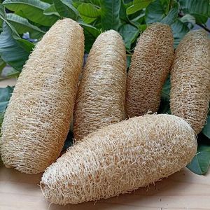 Éponge de bain en loofah naturelle, exfoliante, écologique, porte-savon, jaune clair - Product Image 4