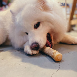 Factory Supply Coffee Wood Dog Chew Stick Natural Tough Dog Toy for Aggressive Chewers Bulk OEM - Product Image 3