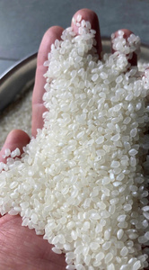 Riz japonica vietnamien biologique Koshihikari, riz à grains courts de qualité supérieure |   Riz Japonica Bio Riz Sushi |   Celeste VILACONIC - Product Image 5