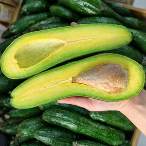 AGUACATES Congelados de Alta Calidad Exportados de Vietnam, Gran Venta con Buen Precio en el Mercado/ Sra. ALINA - Product Image 3