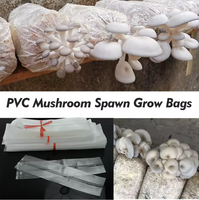 Fournitures de jardin en plastique scellable à haute température sac de plantation en croissance filtre à gousset sacs de ponte de champignons respirants pépinière