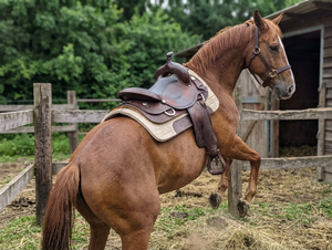 Almohadilla de fieltro de lana para montar a caballo, ligera, disponible en 32”x 32”, grosor de 32 mm, ideal para el rendimiento ecuestre. - Product Image 6