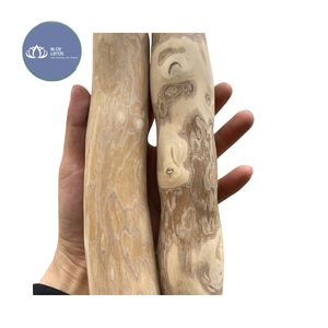 Juguete Masticable de Madera de Café Ecológico para Perros, Cuidado Dental Natural para Mascotas, Juguete Interactivo para Limpieza Dental, Venta al por Mayor para Exportación - Product Image 1