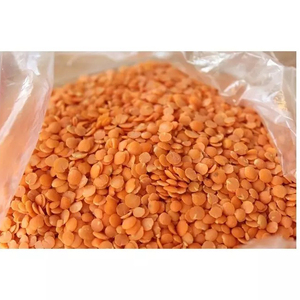 Nouvelles récoltes de lentilles rouges de haute qualité, lentilles rouges biologiques en vrac, style OEM Max Gift - Product Image 4