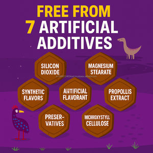 Supplément de bâton à mâcher de zinc d'enfants pour la poudre naturelle de saveur de fruit de croissance saine - Product Image 4