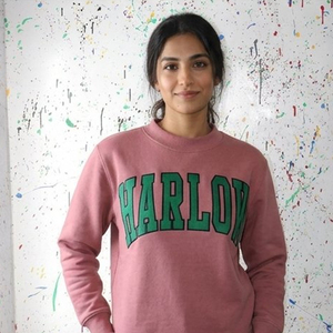 Pull col montant rose personnalisé D9 pour femme Harlow, broderie de lettres grecques, vêtements universitaires, tenue de campus, vente en gros - Product Image 1