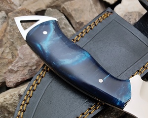 Couteau de survie professionnel pour la chasse avec lame en acier inoxydable pour les randonnées et les pêches en plein air - Product Image 2