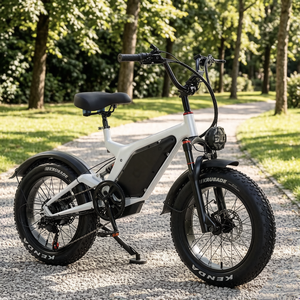 Neumáticos todoterreno 20*4, batería de litio de 48V 15AH, motor sin escobillas, doble suspensión. Bicicleta eléctrica deportiva urbana todoterreno. - Product Image 3