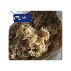 [HOT SELLING] BLUE LOTUS Natural 100% <b>Dried</b> Seamoss for Food Processing Cooking Ingredients Soup Dessert Raw Material-Vietnam 24 - Product Image 1