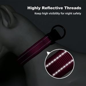 Ensemble collier et laisse pour chien, laisse rétractable pour chien et fabricants de laisses pour chien - Product Image 4