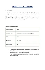 Semillas de Berenjena (Alicante) – aptas para cultivo agrícola - Product Image 5