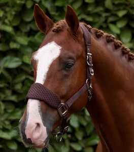 Cabestro Resistente para Caballos, Ajustable, de Nailon, con Cuerda de Amarre, para Entrenamiento de Ganado Equino, Equipo Ecuestre para Establos y Granjas - Product Image 3