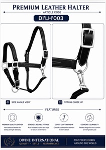 Cabestro de Cuero Premium Estilo Cabezal de Caballo con Forro Suave Modelo DI'LH'007 de Divine International Uttar Pradesh - Product Image 4