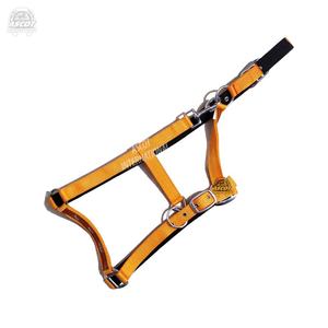 Halter en Nylon de haute qualité en gros pour accessoires d'équitation raccords haut de gamme sangle gravure équestre - Product Image 1