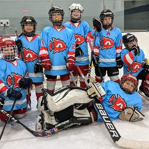 Maillots et uniformes de hockey sur glace personnalisés, maillots de sublimation personnalisés pour équipes, vêtements de hockey en gros pour équipes, directement de l'usine - Product Image 4